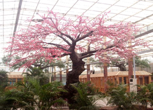 蚌埠假樹,水泥假樹安裝定做