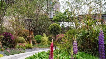 游學報名丨蘇州精品地產項目深度考察 7月27 28日