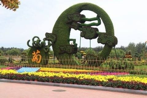 四川成都五色草雕塑廠 大象五色草綠雕造型可來圖定制各個(gè)精致