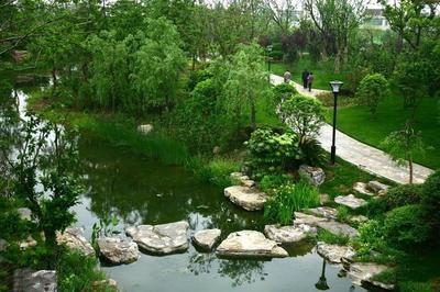 南通五水公園綠化景觀工程即將開工，打造城市生態新地標